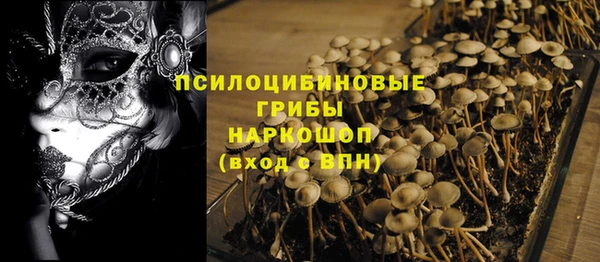 гидра Нягань