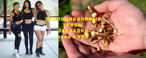 мдма Няндома
